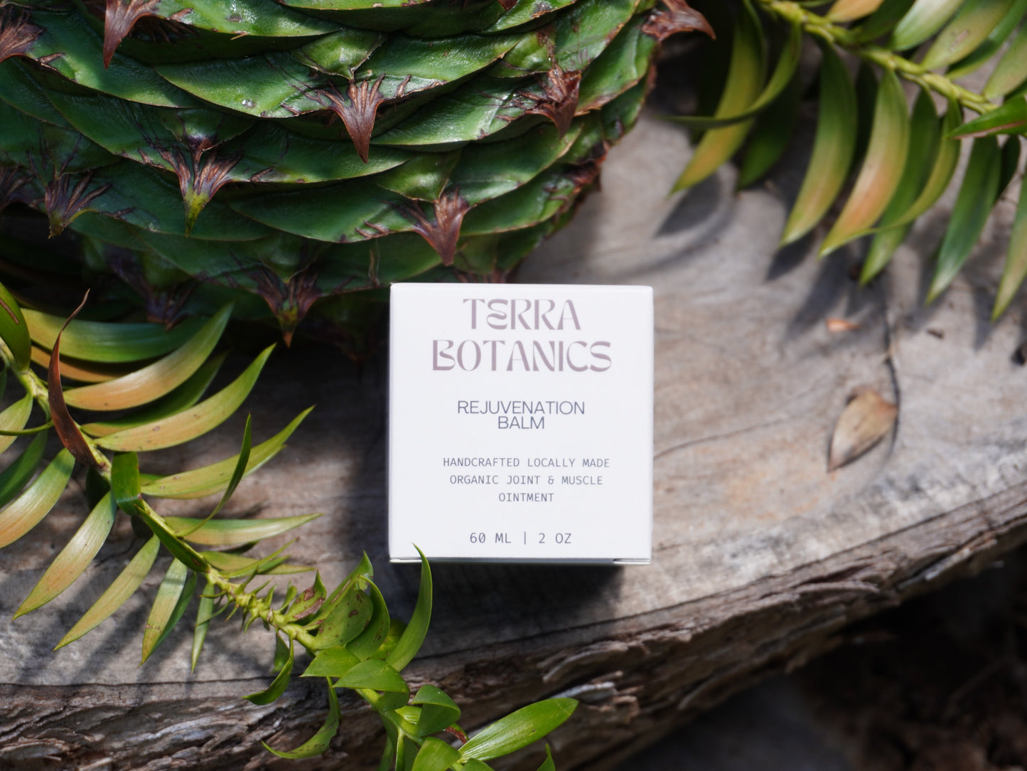 Terra Botanics Rejuvenation Balm — daily comfort ritual, Byron Bay