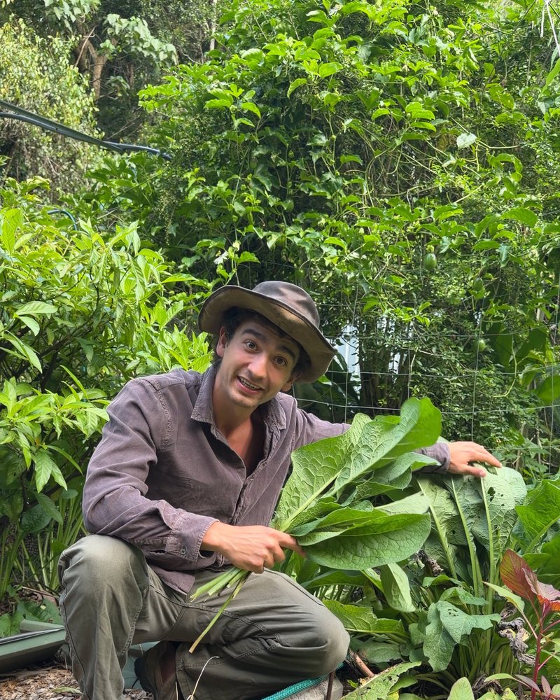 The Forgotten Remedy Australians Are Rediscovering